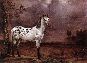 POTTER, Paulus The Spotted Horse af oil painting picture wholesale